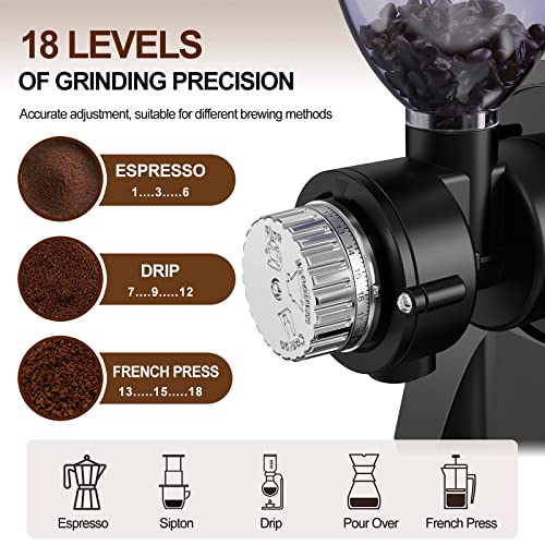 2-In-1 Masticating Fruit Vegetable Juicer Machine & Electric Coffee Grinder