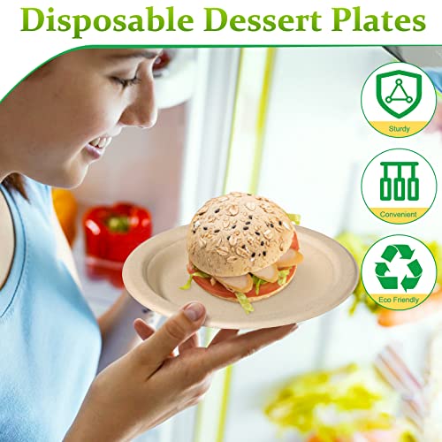 Paper Plates 6 inch (100 Count)