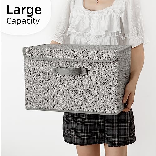 Storage Baskets with Lids (2 Count)