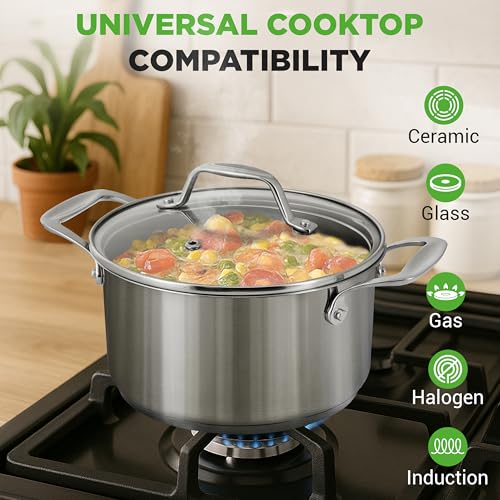 6 Quart Stainless Steel Stockpot