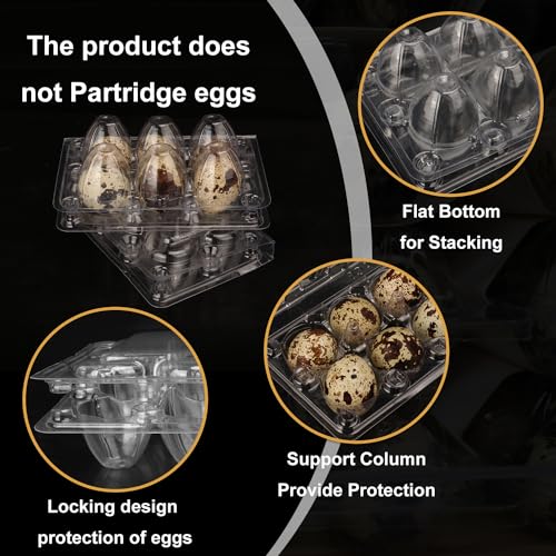 300 Pack Quail Egg Cartons (300 Count)