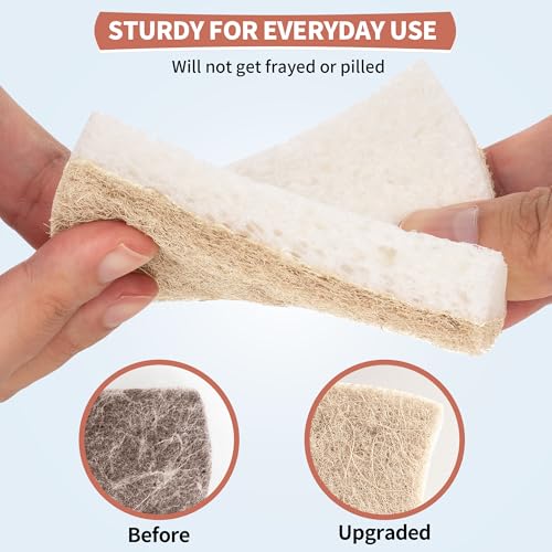 Natural Dish Sponge 48 Pack (48 Count)