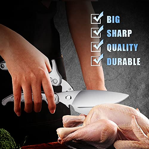 Poultry Shears