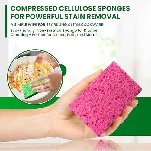 Cellulose Sponges (48 Count)
