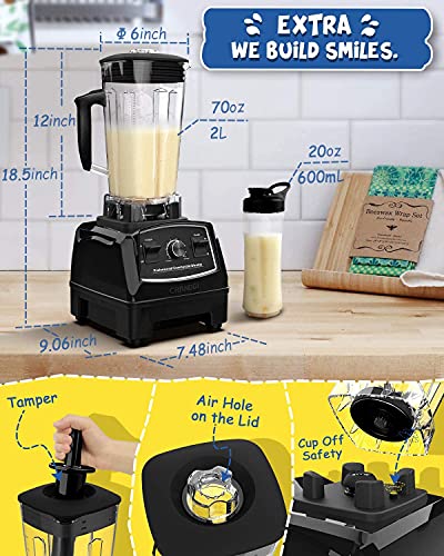 Professional Blender