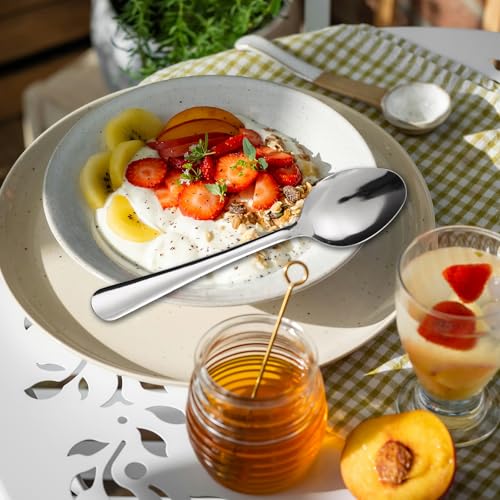 Windsor 60 Pcs Stainless Steel Dinner Spoons (60 Count)