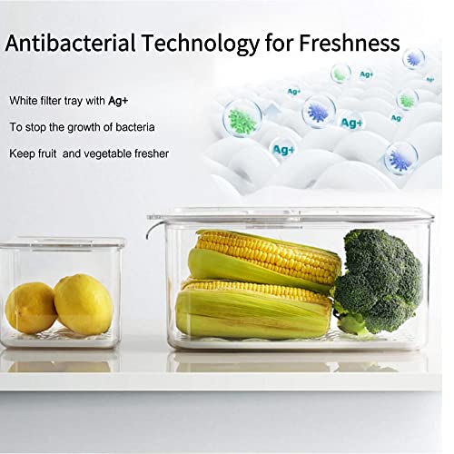 Fresh Produce Saver for Refrigerator (3 Count)
