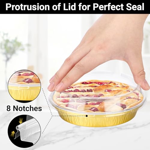 Cake Pans with Lids (50 Count)