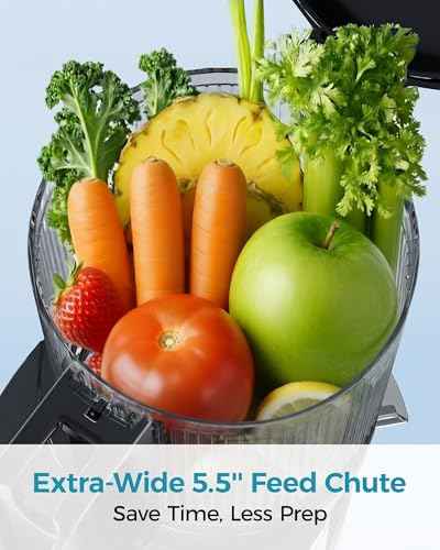 Cold Press Juicer