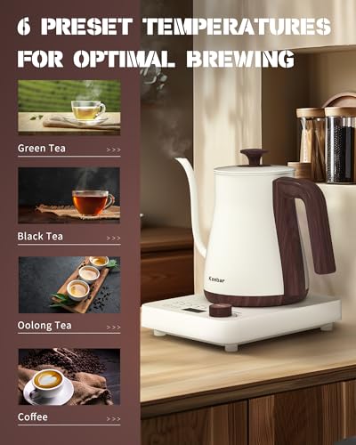 Gooseneck Electric Kettle