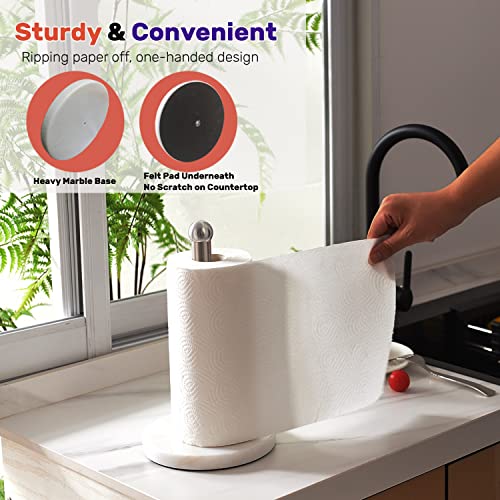 Heavy Weighted Paper Towel Holder