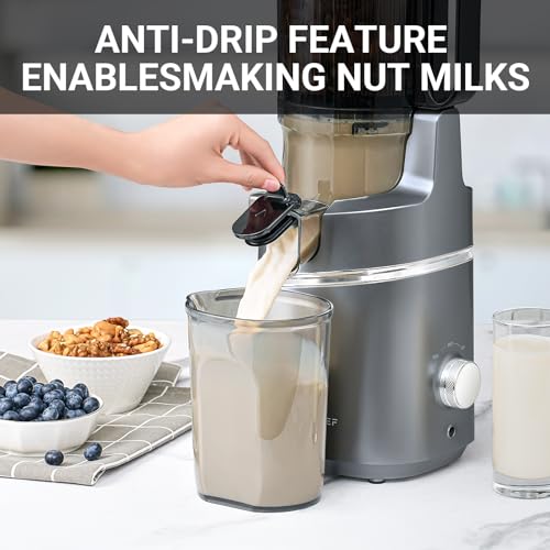 Cold Press Juicer