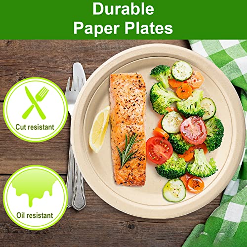Compostable 9 Inch Paper Plates (150 Count)