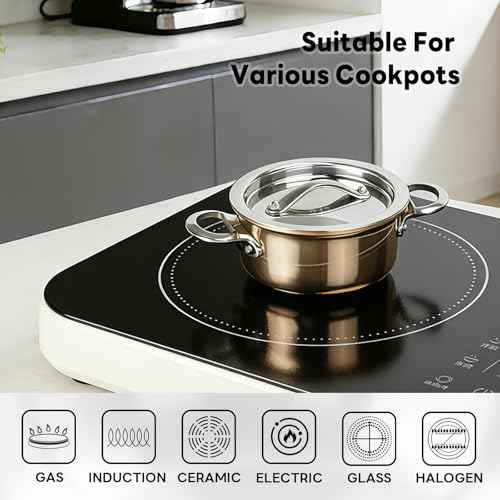 Mini Sauce Pan with Lid