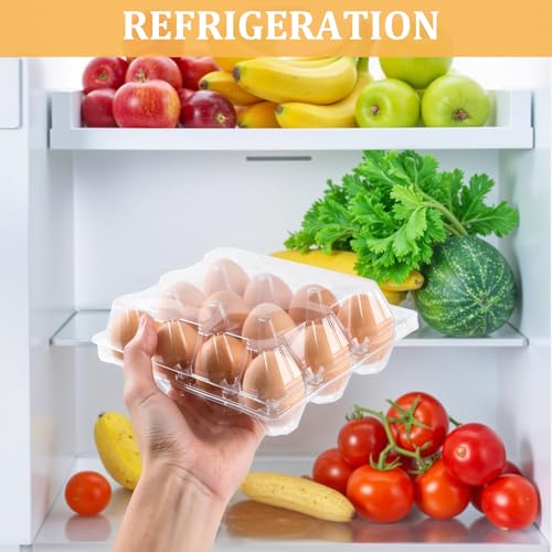 40PCS Plastic Egg Cartons 18 Count (40 Count)