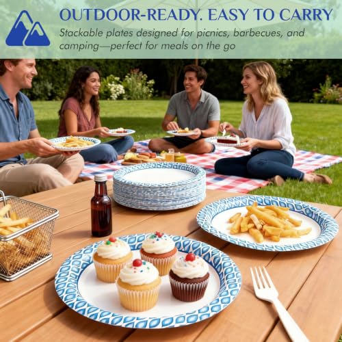 8.375 Inch Disposable Paper Plates (300 Count)