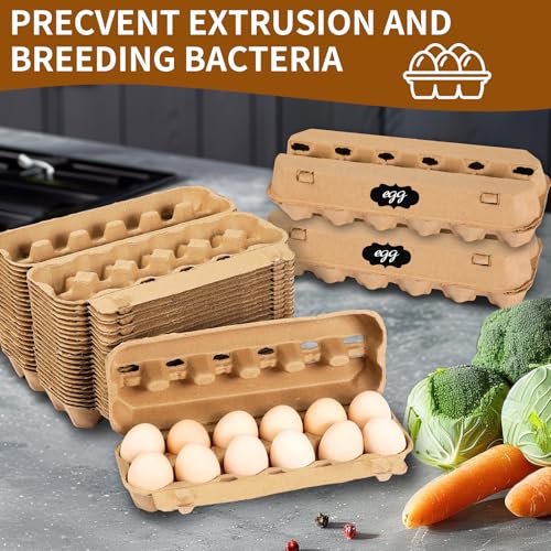 25 Pack Empty Egg Cartons 12 Count