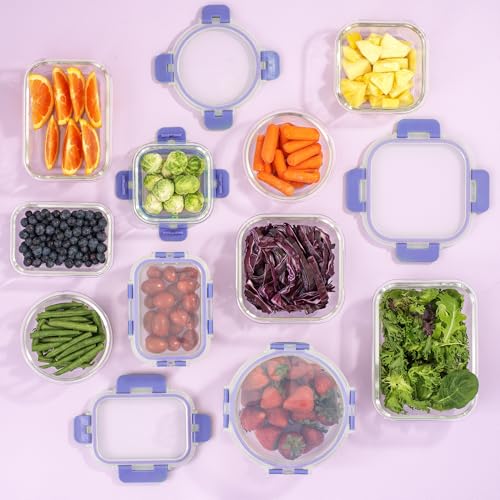 24pc Borosilicate Glass Storage Containers with Lids (24 Count)