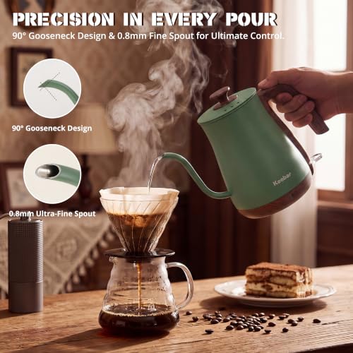 Gooseneck Electric Kettle