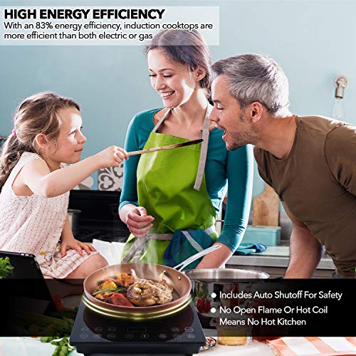 Pro Chef Induction Cooktop