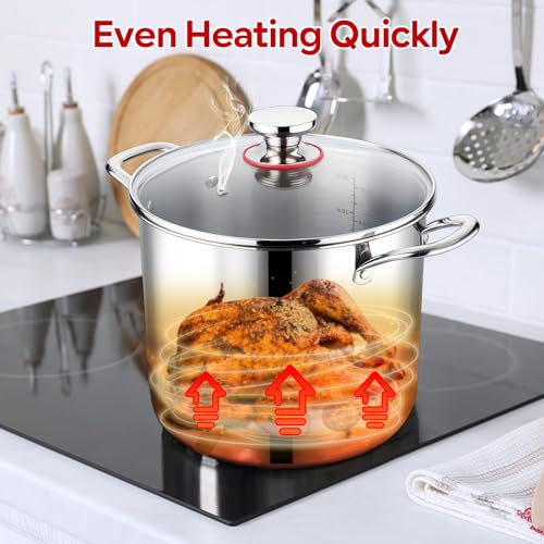 12 QT Stock Pot with Lid