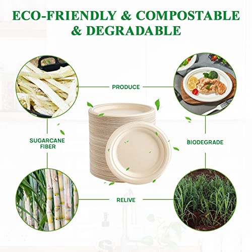 350 Pack Compostable Bagasse Paper Plates 6.9 inch (350 Count)