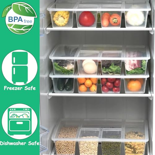 2 Pack Divided Veggie Tray with Lid (2 Count)