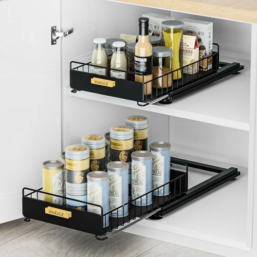 Under Sink Organizer