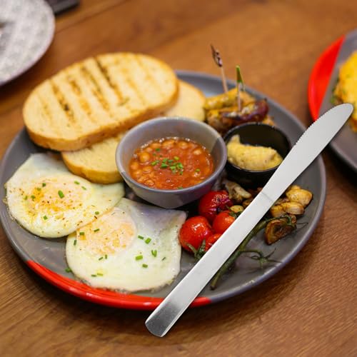 36 PCS Dinner Knifes Set