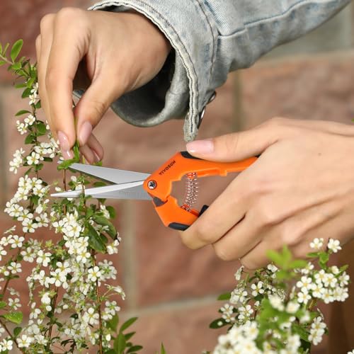 6.5 Inch Garden Scissors (12 Count)