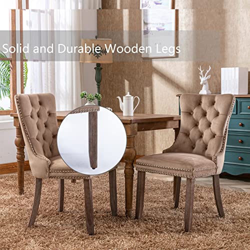 Khaki Velvet Dining Chairs Set of 2 (2 Count)