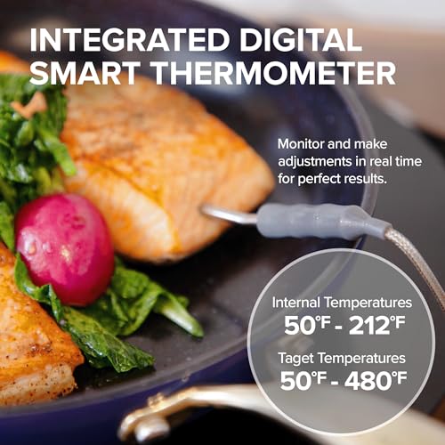 Upgraded Induction Cooktop with Patented Digital Temp Probe