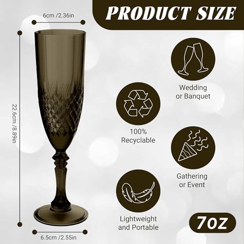 24 Pack Plastic Champagne Flutes (24 Count)