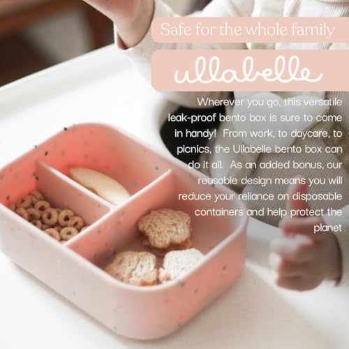 Kids Bento Box