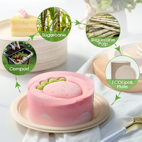 6 in 500 Pack Natural Disposable Compostable Dessert Paper Plates (500 Count)