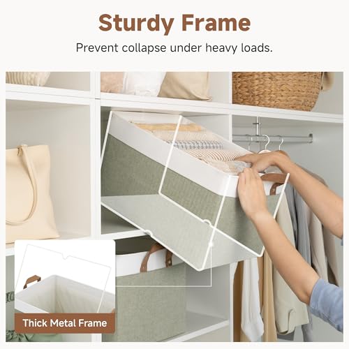 Closet Storage Bins (2 Count)