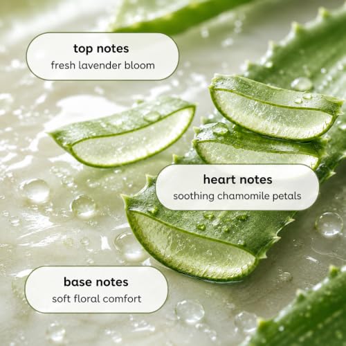 Botanicals Liquid Dish Soap (24 Fl Oz)