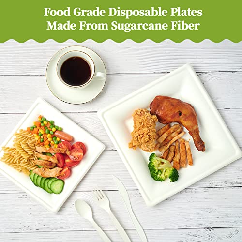 120 Pack Compostable Paper Plates Disposable (60 Count)