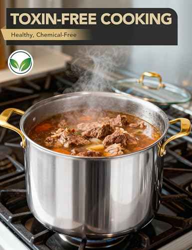 Stainless Steel Stock Pot