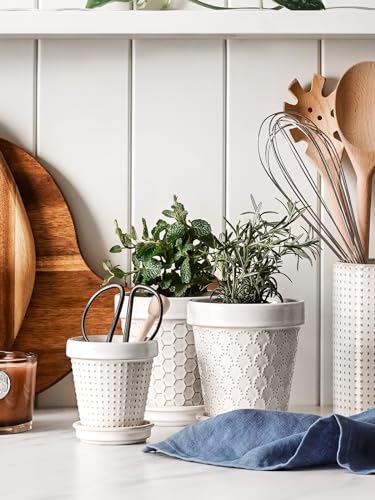 Ceramic Succulent Pots (4 Count)
