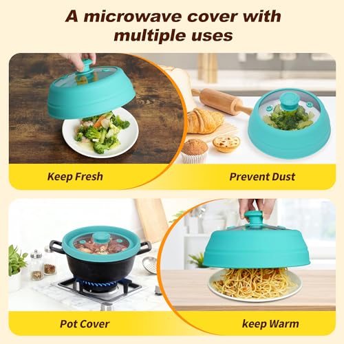 Microwave Splatter Cover