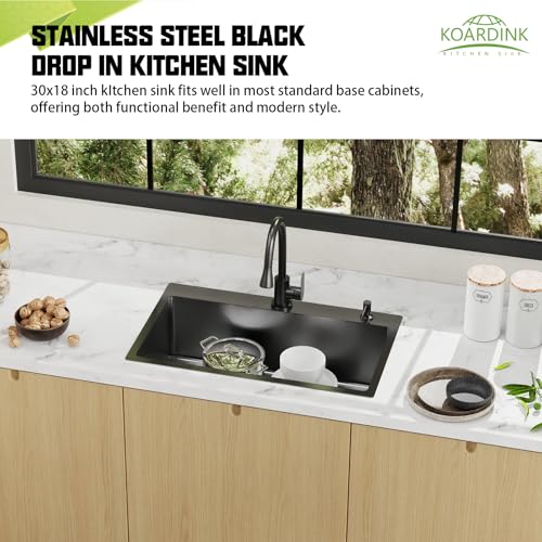 Black 30x18 In Drop In Kitchen Sink