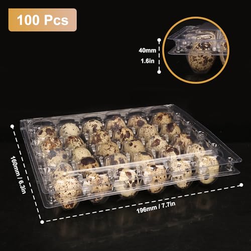 100 Pack Quail Egg Cartons (100 Count)