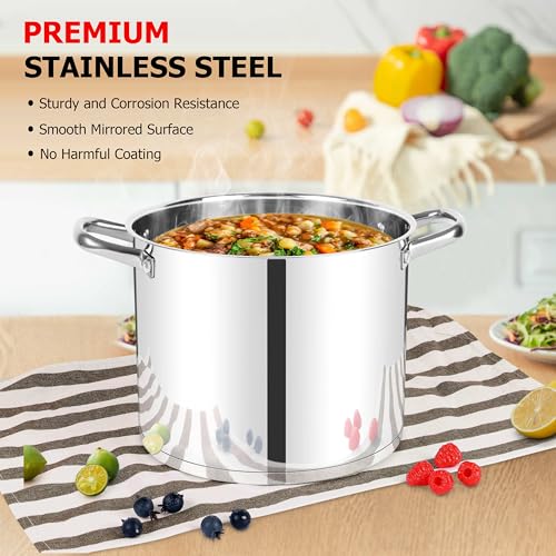 12 QT Stock Pot with Lid