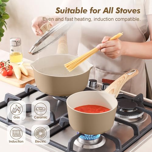 Ceramic Nonstick Sauce Pan with Lid