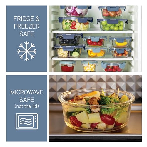 Premium 32 Pc. Borosilicate Glass Food Container Set with Dividers