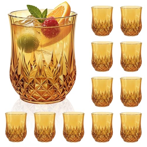 12 Pack Plastic Stemless Wine Glasses (12 Count)