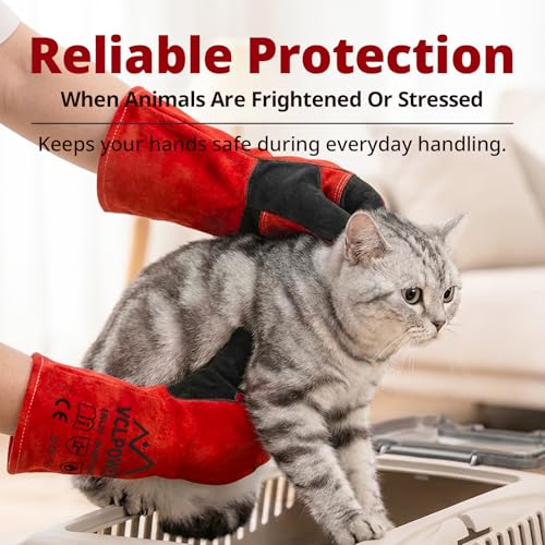 Animal handling Gloves 16