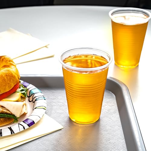 Small Disposable Clear Plastic Cups (100 Count)
