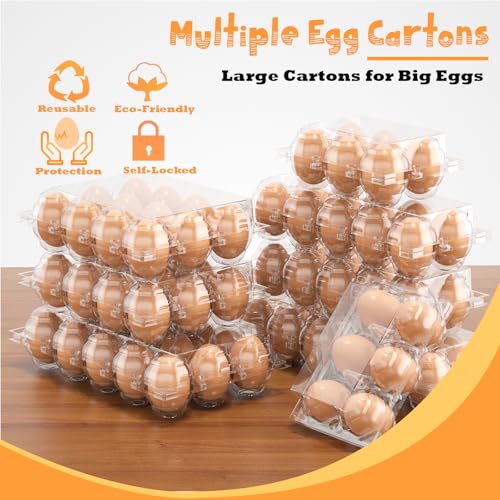 100 Pack Large Egg Cartons Cheap Bulk 6 Count Plastic Egg Containers 2x3
